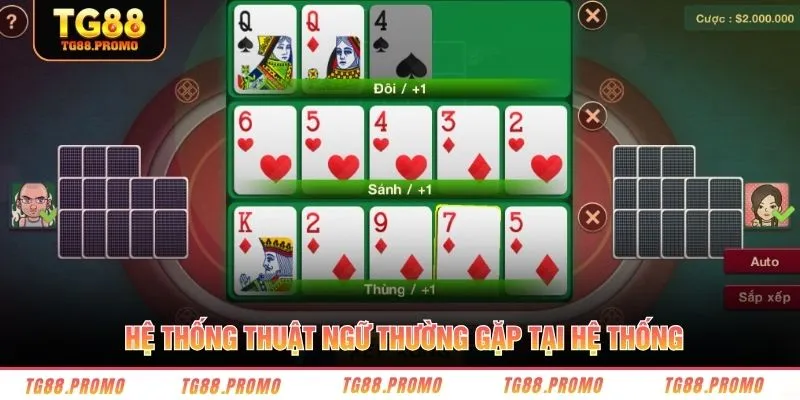 Hệ thống thuật ngữ thường gặp tại hệ thống