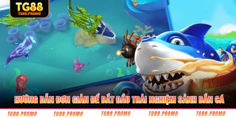 Hướng dẫn đơn giản để bắt đầu trải nghiệm sảnh bắn cá