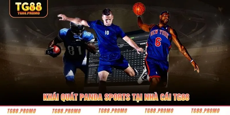 Khái quát Panda Sports tại nhà cái TG88
