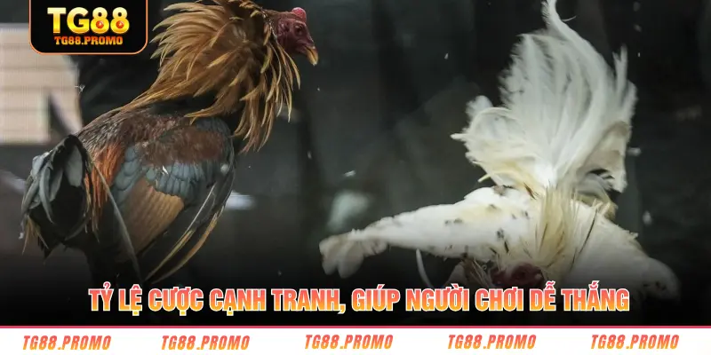 Tỷ lệ cược cạnh tranh, giúp người chơi dễ thắng